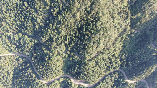 山川森林绿色植物风景航拍视频