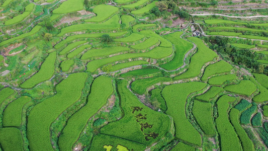 浙江绍兴上虞覆厄山景区视频