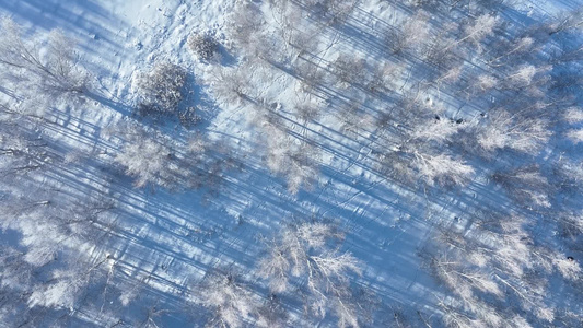 大兴安岭丘陵山区疏林地寒冬雪景视频