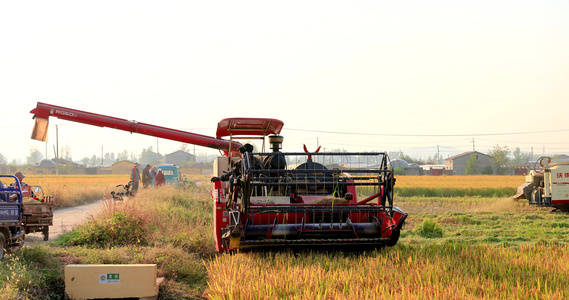 水稻机械化收割视频
