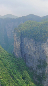 航拍高山悬崖云海视频