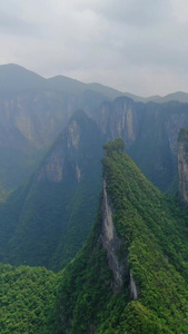 航拍高山悬崖云海视频