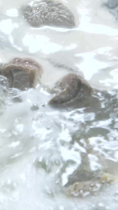 海带排骨汤炖汤养生汤视频