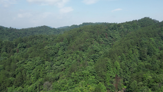 航拍生态自然风光丘陵大山森林 视频