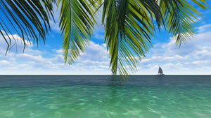 唯美蓝天白云大海椰子树19秒视频