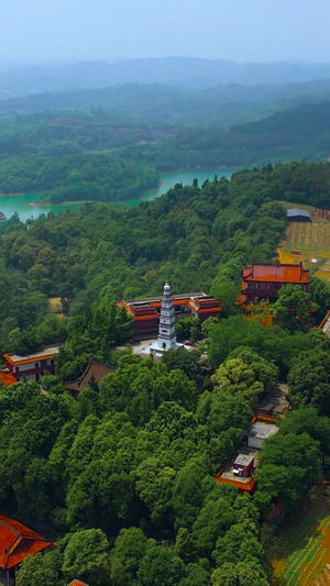 航拍成都原生态候鸟栖息地白塔湖白塔寺83秒视频