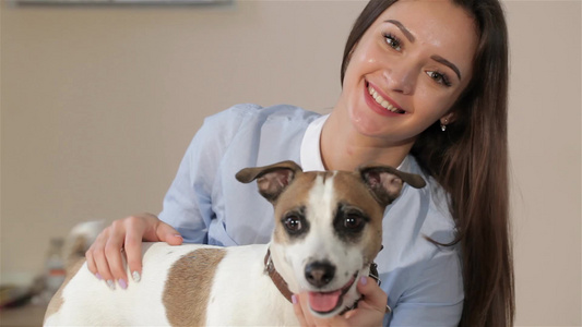 兽医诊所的女宠养狗的妇女视频