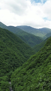 航拍湖北神农架官门山景区 视频