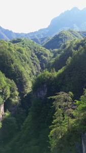 航拍湖北神农架画廊谷景区自然风光 视频