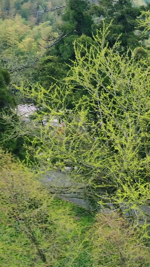 航拍江南五大禅院之首径山寺119秒视频