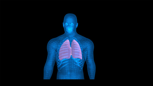 4K医学人体肺部心脏动画带透明度视频