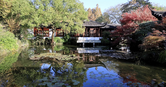 秋天江南园林古风建筑和色彩鲜艳的枫叶视频