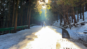 冬天旅游庐山景区登山路上飘雪中步行的游客4k素材52秒视频