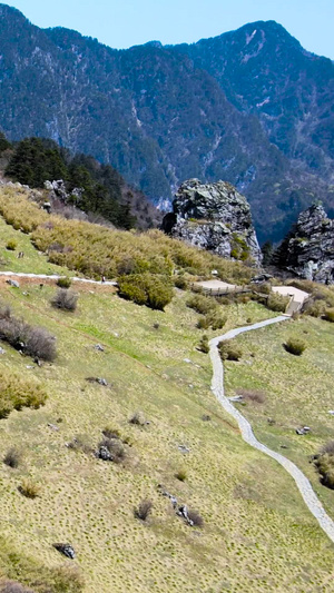 神农架5A景区林区板壁岩景点航拍合集5A风景区74秒视频