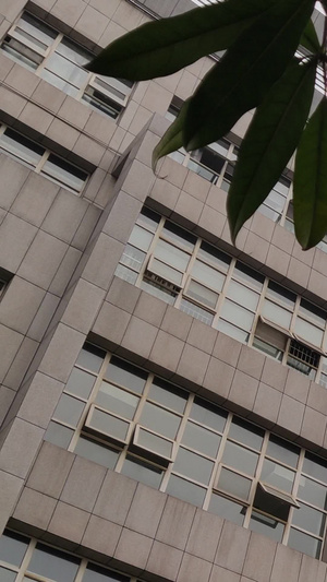 建党国徽100周年大楼素材实拍素材33秒视频