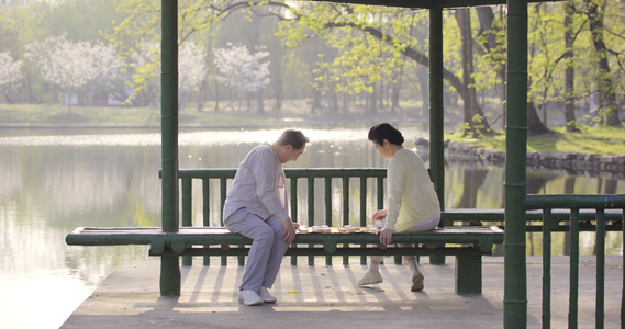 8K老年夫妇户外公园下象棋视频