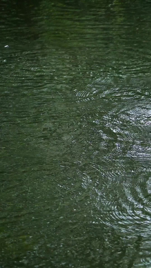 下雨的湖面泛起涟漪7秒视频