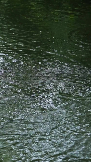 下雨的湖面泛起涟漪7秒视频