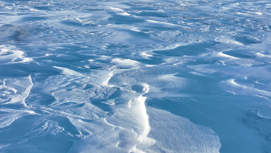 呼伦贝尔草原冬天雪景雪地白毛风视频