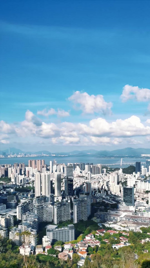 沿海城市楼群建筑风景延时竖屏海滨城市16秒视频