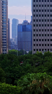 上海人民广场公园航拍天际线视频