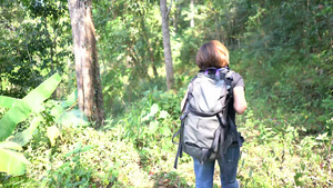 在山上步行到森林里19秒视频