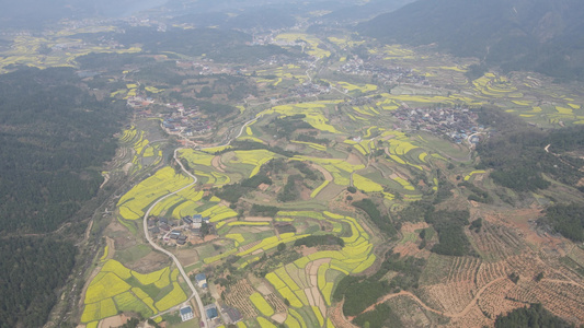 航拍乡村农业种植油菜花海油菜花田视频