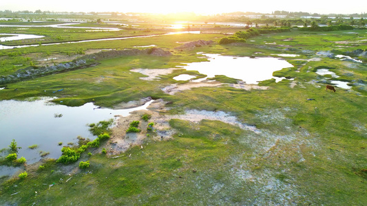 海南陵水环岛乡村旅游公路阳光下行驶的新能源汽车视频