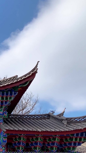 云南丽江束河古城实拍视频合集旅游景区143秒视频