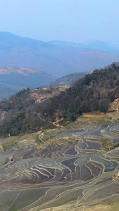 航拍宏大壮观的元阳梯田箐口景区视频旅游目的地视频