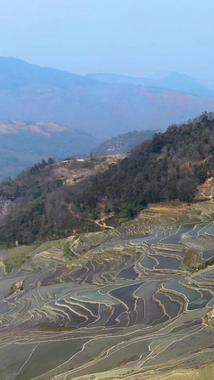 航拍宏大壮观的元阳梯田箐口景区视频旅游目的地83秒视频