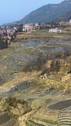 航拍宏大壮观的元阳梯田箐口景区视频旅游度假83秒视频