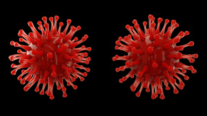 单个冠状病毒特写三维旋转蠕动展示动画9秒视频