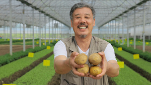 农民伯伯在大棚里展示种的土豆6秒视频