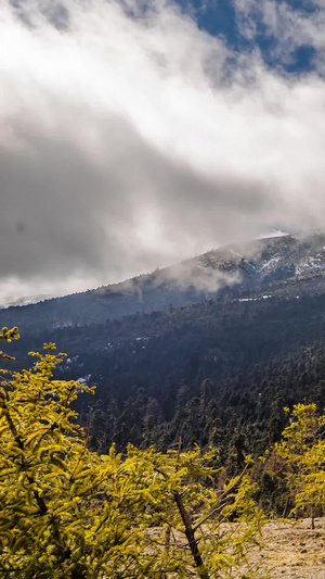 云南迪庆白马雪山观景台延时素材云南雪山14秒视频