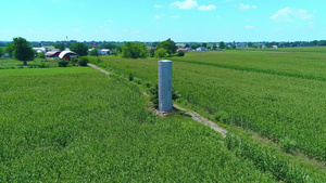 绿色玉米田中央一座旧水塔31秒视频