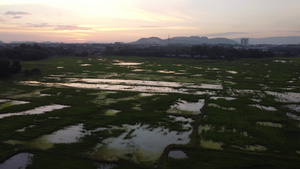 夕阳下草原田地的光亮日落10秒视频