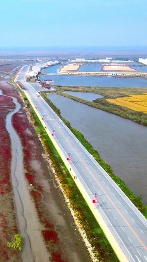 颜色碰撞大自然航拍红海滩芦苇荡交界红绿浅海滩涂55秒视频