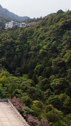 航拍5A景区太姥山玉湖游览区景点太姥娘娘雕塑视频福建旅游76秒视频