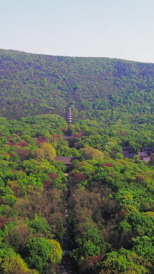 航拍南京5A风景区中山陵灵谷寺景区灵谷寺灵谷塔南京市30秒视频