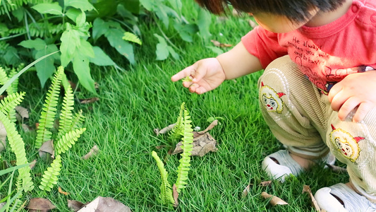 儿童在草地上摘草叶视频
