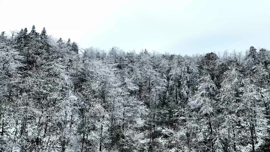 岳阳大云山国家森林公园雪景视频