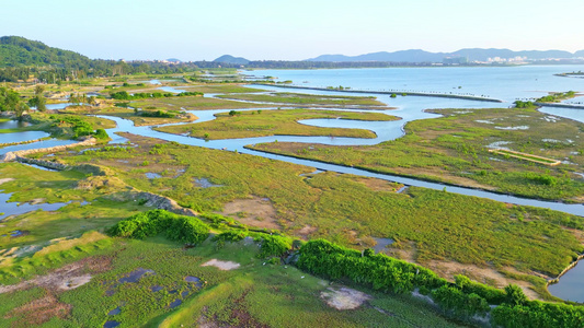 海南陵水环岛乡村旅游公路阳光下行驶的新能源汽车视频