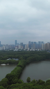 航拍暴雨来临前的城市乌云密布天空湖景绿道风景素材林荫道素材视频