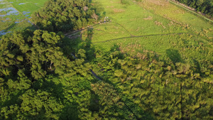 无人驾驶飞机飞越马来西亚的绿景草地上空18秒视频