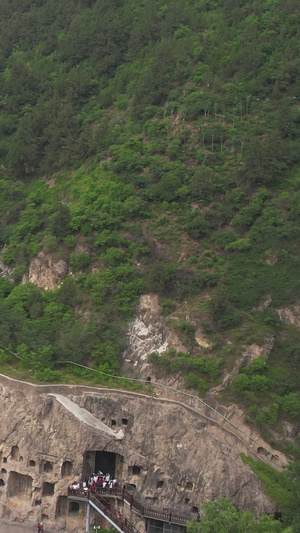 河南洛阳5A世界文化遗产龙门石窟视频视频河南旅游63秒视频