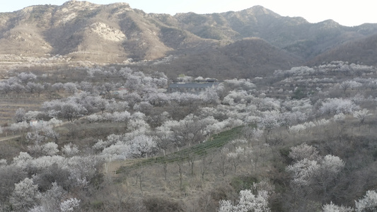 村庄农村航拍风景视频