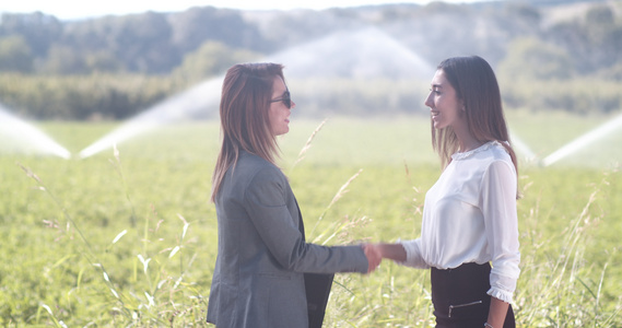 两名商业妇女与农业灌溉系统在绿地上握手,共事2次视频