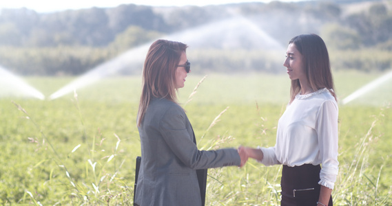 两名商业妇女与农业灌溉系统在绿地上握手视频