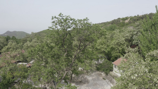 村庄农村航拍风景视频